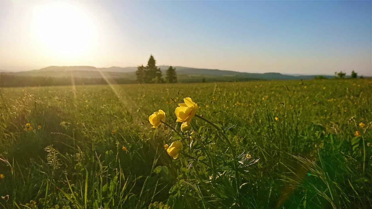 Pension Weinig Gersfeld Exteriér fotografie